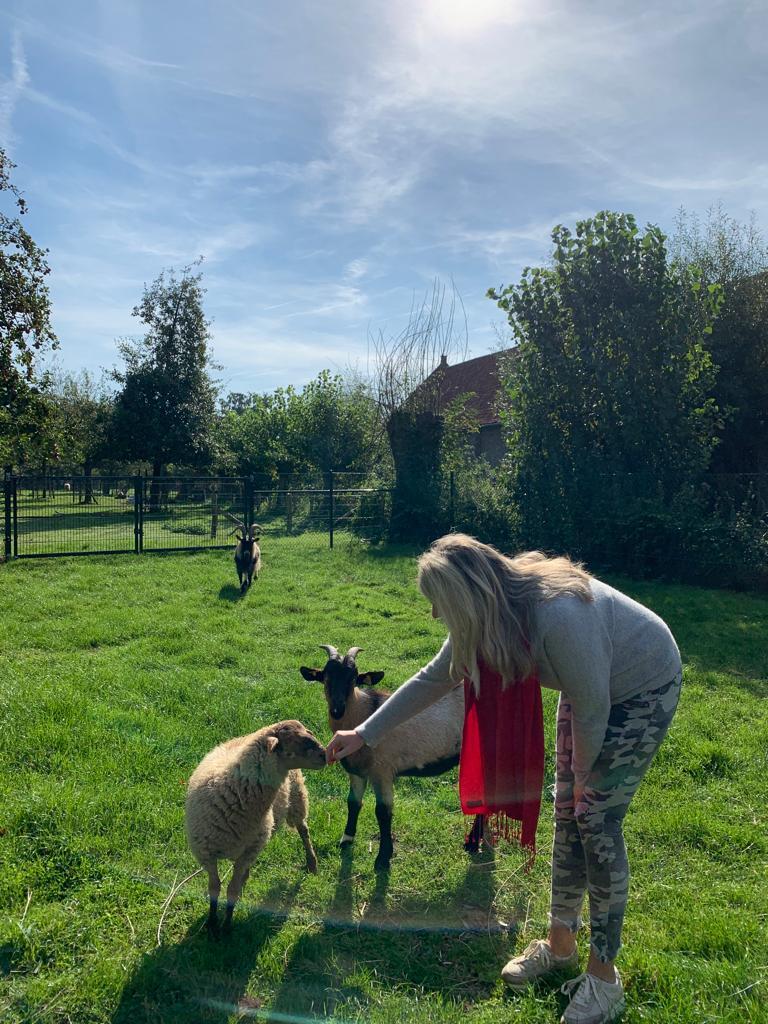 jakob kinderboerderij de zeven torentjes schepen openbaar domein