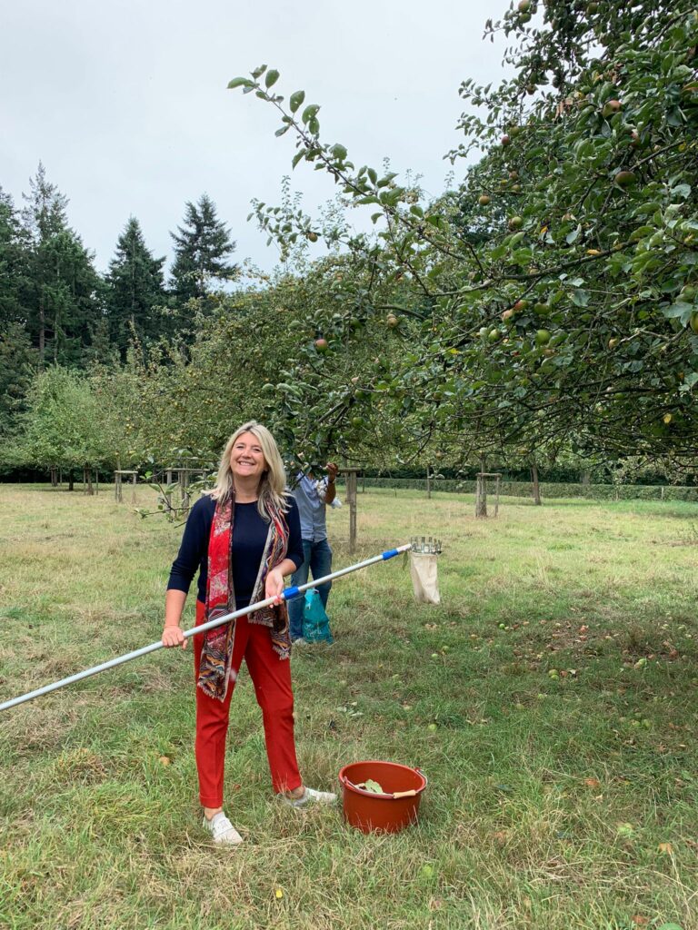 Fruitpluk Plukstok Boomgaard Appel