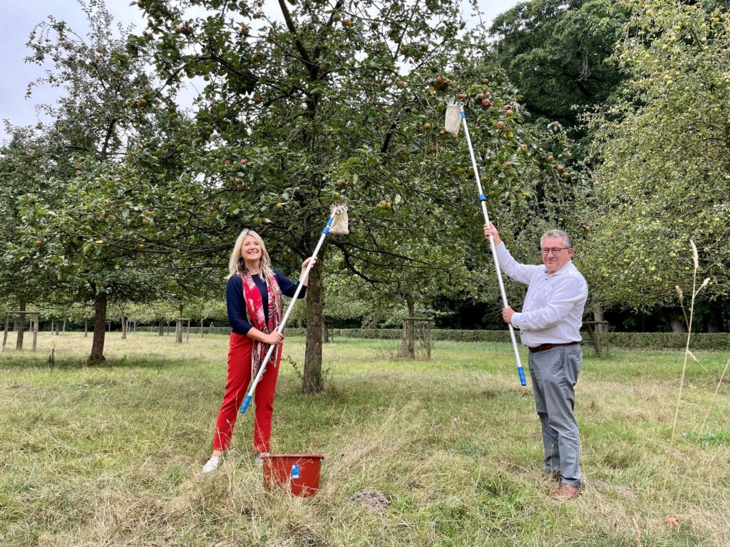 Boomgaard Fruitpluk Burgemeester Schepen Openbaar Domein Appels